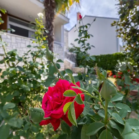 Magnolia 아파트 포레치