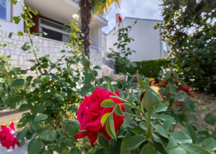 Magnolia Appartement Poreč